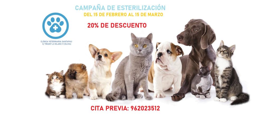 Noticias Campaña Clínica Santapau