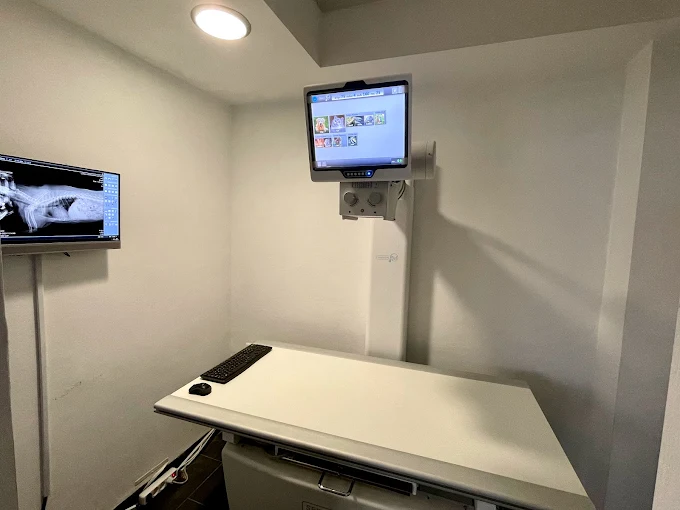 Servicios CV Santapau