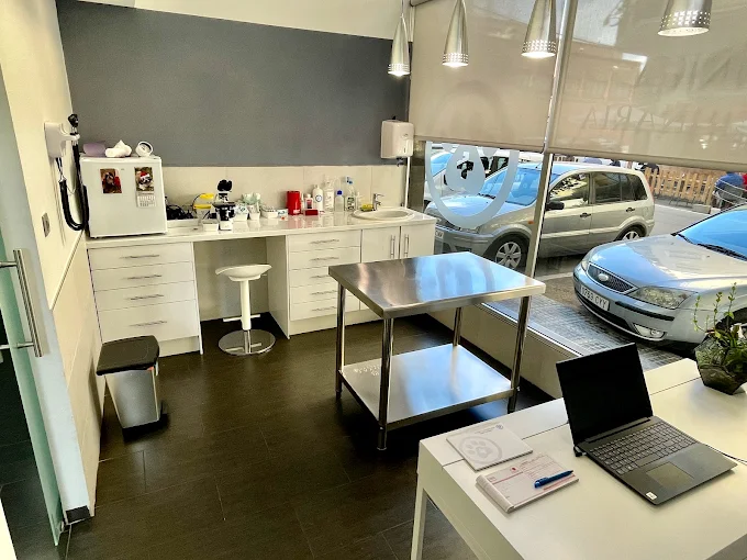 Servicios CV Santapau