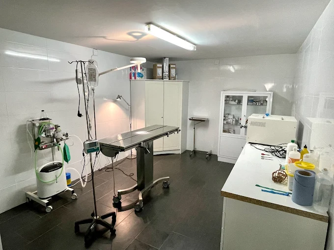 Servicios veterinarios en La Safor - Clínica Veterinaria Santapau