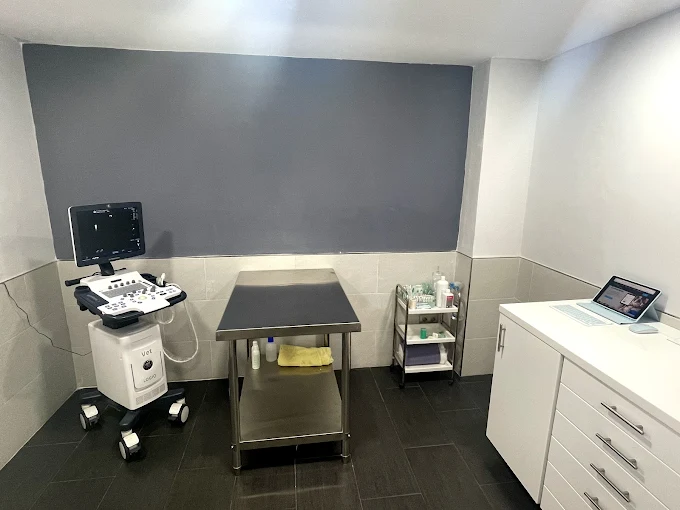 Clínica veterinaria en Olivar - Clínica Veterinaria Santapau