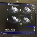 servicios diagnostico cv santapau